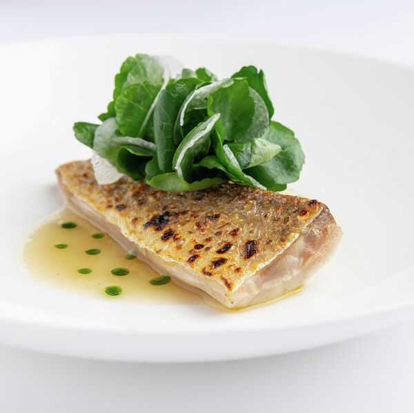 Хвост кефали Хвост кефали