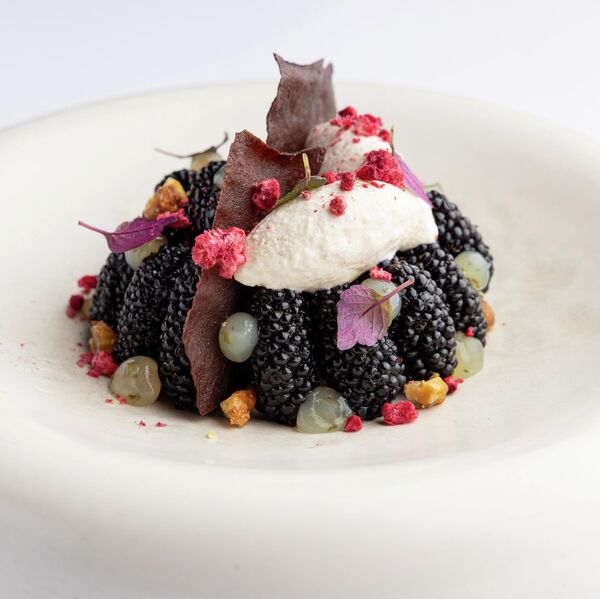 Шелковица Шелковица