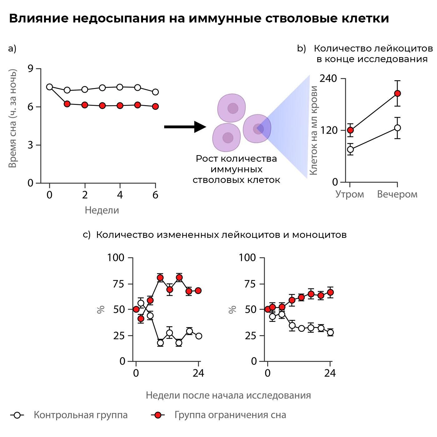 Влияние недосыпания на клетки - РИА Новости, 1920, 14.10.2022