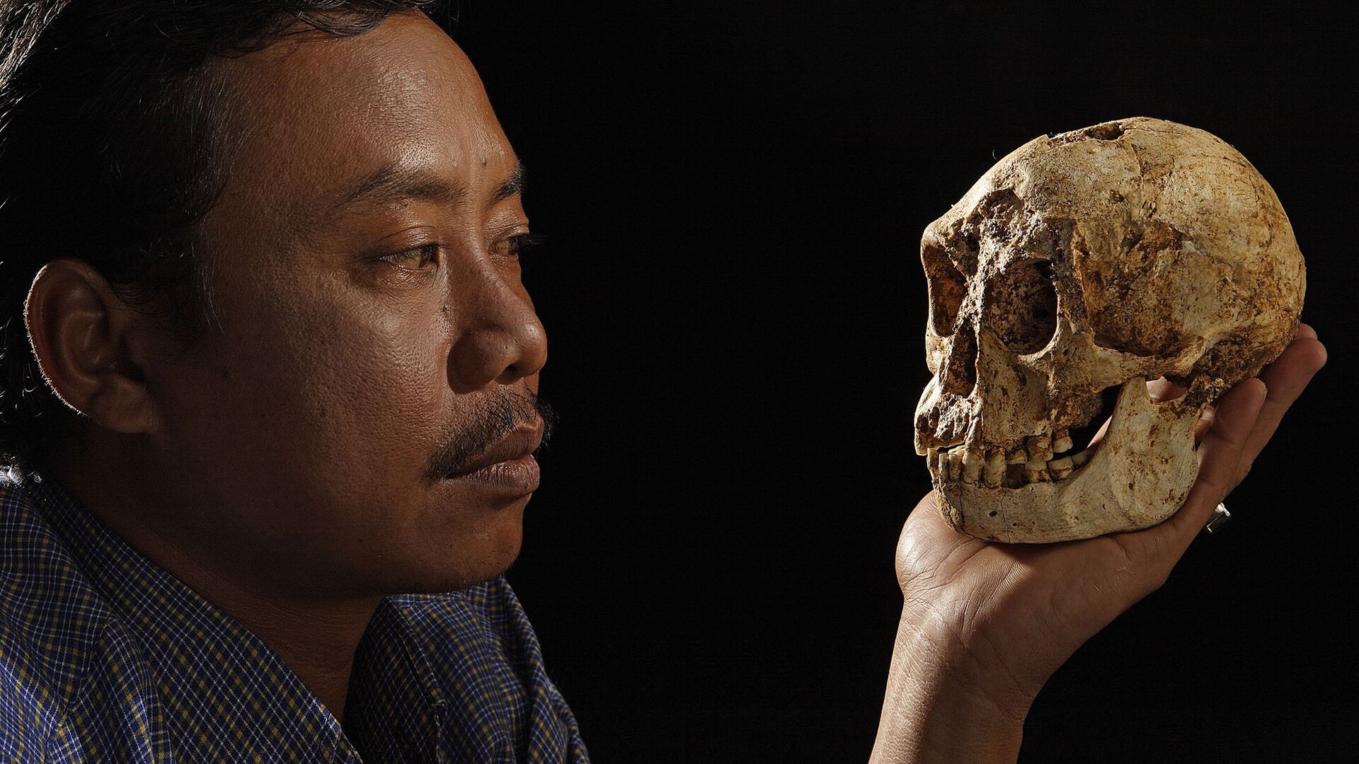 Карликовый череп, найденный на острове Флорес в Индонезии - РИА Новости, 1920, 05.03.2023