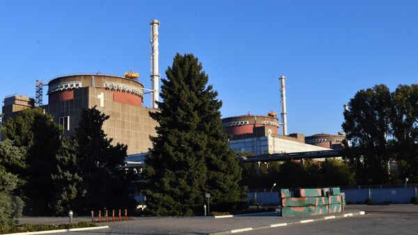 Вид на здания энергоблоков Запорожской атомной электростанции в Энергодаре