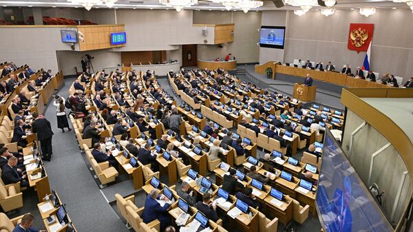 Заседание Государственной Думы РФ