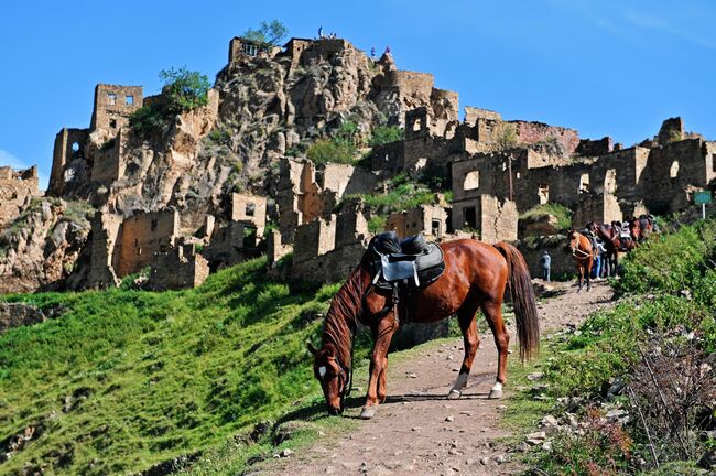 Лошадь пасется у заброшенного селения Гамсутль. Гамсутль - аул в живописной местности, пользуется популярностью среди туристов