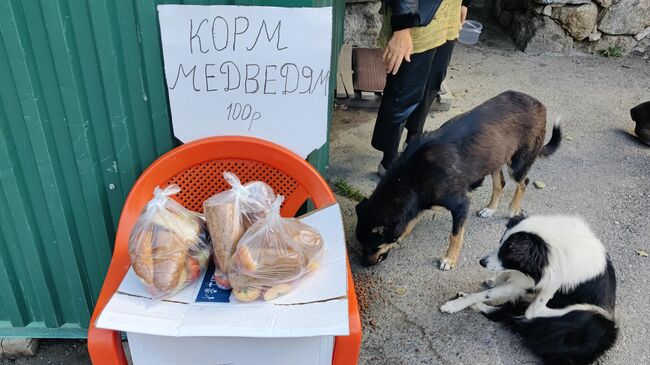 Еда для медведей у Тропы Чудес