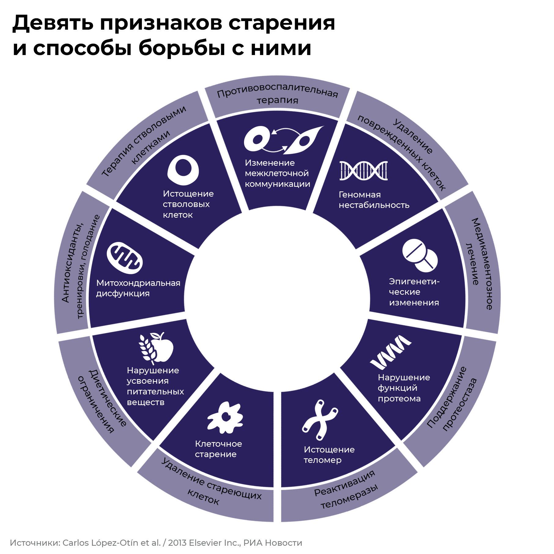 Девять признаков старения и способы борьбы с ними