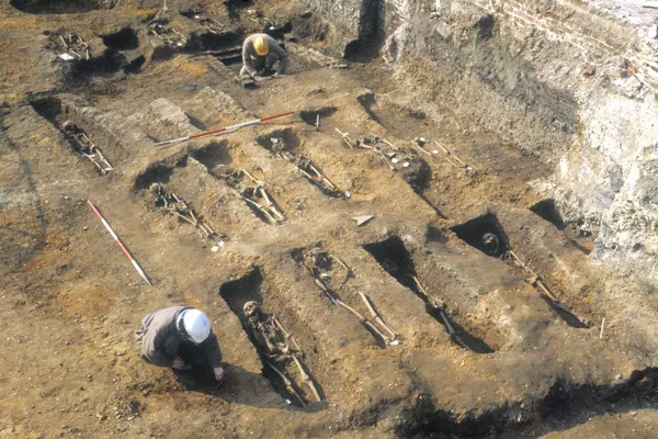 Останки жертв чумы из массовых захоронений 1348-1349 гг.