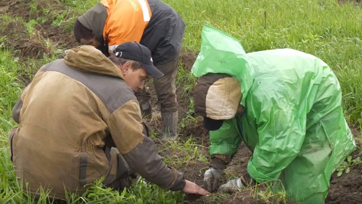 В Вологодской области реализуется проект по созданию карбонового полигона - РИА Новости, 1920, 21.10.2022