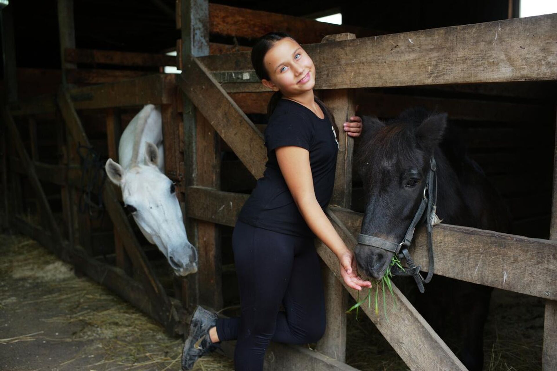Амелита, младшая дочь владельцев конной фермы, кормит пони по прозвищу Фунтик - РИА Новости, 1920, 24.10.2022