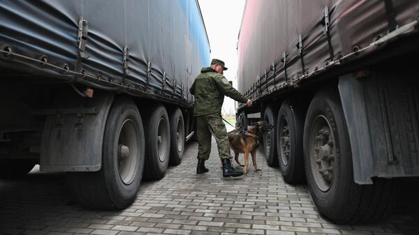 Досмотр грузовых автомобилей на МАПП Чернышевское на российско-литовской границе в Калининградской области