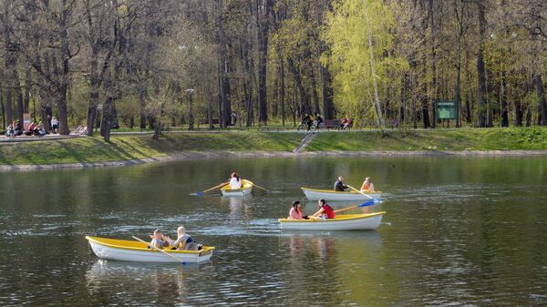 Посетители катаются на лодках в парке Останкино в Москве