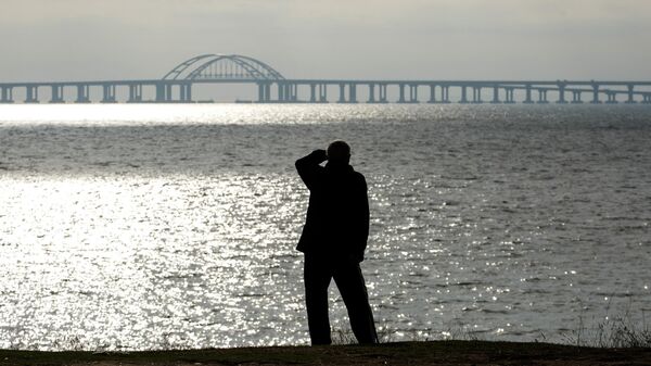Мужчина смотрит на Крымский мост