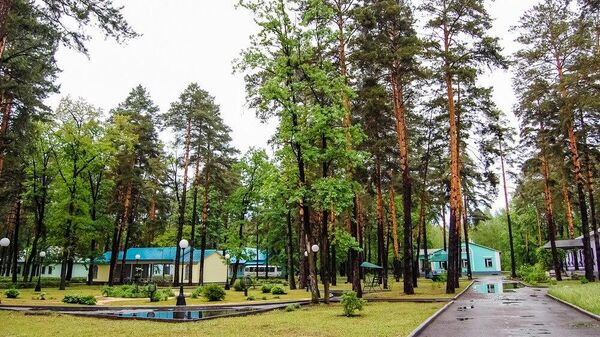 Оздоровительный центр Сосновый бор в Липецкой области