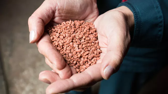 Гранулированные калийные удобрения на складе готовой продукции