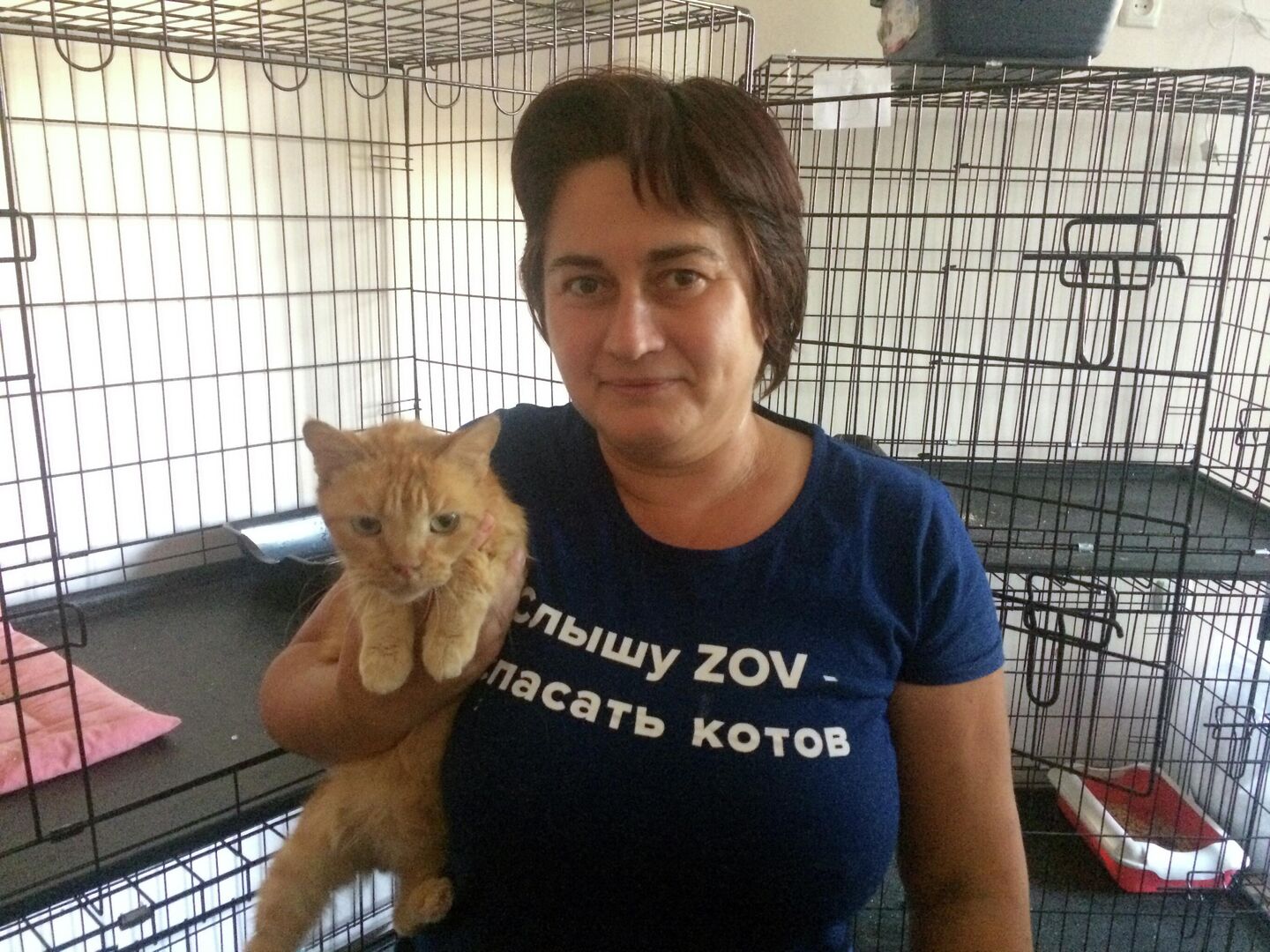 Евгения спасает кошек уже 27 лет Евгения спасает кошек уже 27 лет
