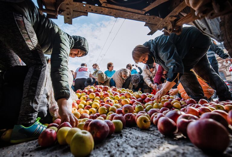 Люди собирают яблоки, выгруженные одним из участников акции протеста против антироссийской политики в Молдавии на площади возле здания Министерства сельского хозяйства и пищевой промышленности Республики Молдова, в Кишиневе