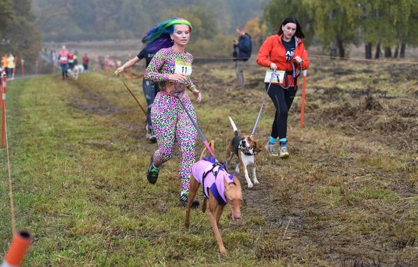 Участники парного забега с собакой по пересеченной местности в природно-историческом парке Битцевский лес