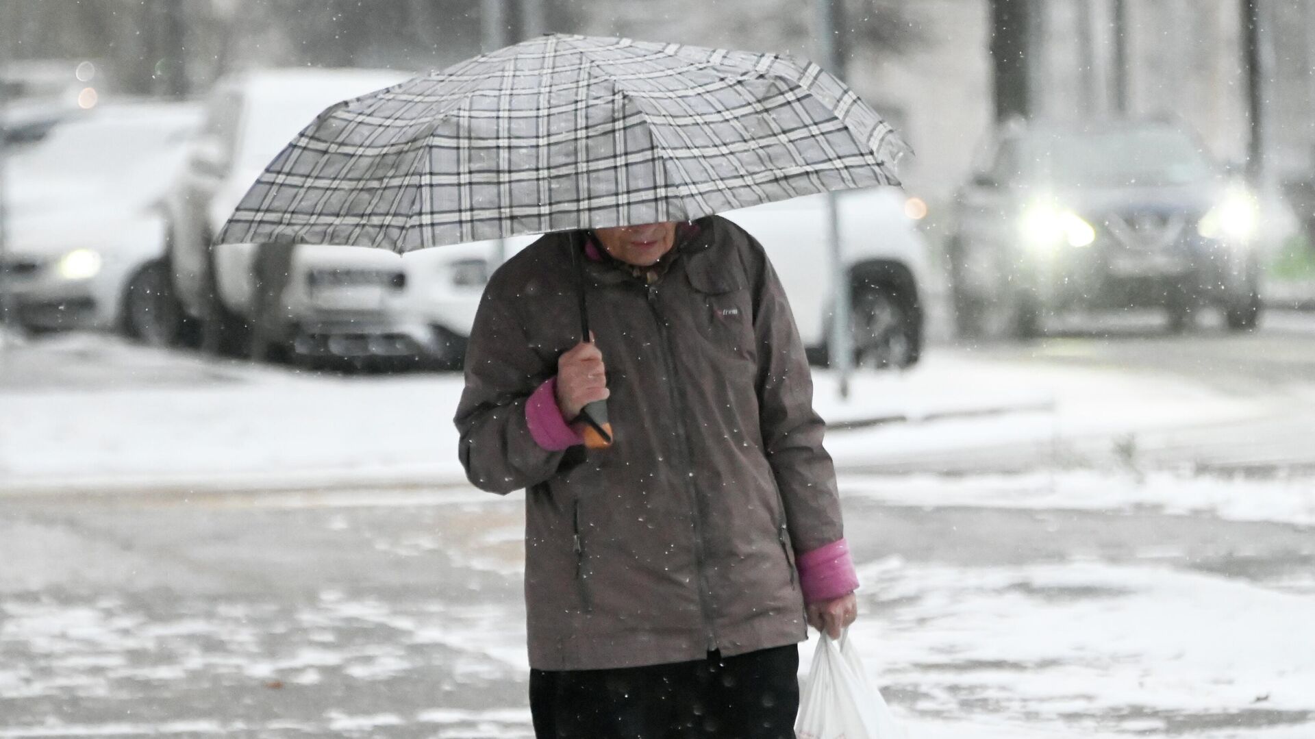 Женщина с зонтом идёт по Ленинскому проспекту во время снегопада в Москве - РИА Новости, 1920, 10.11.2022