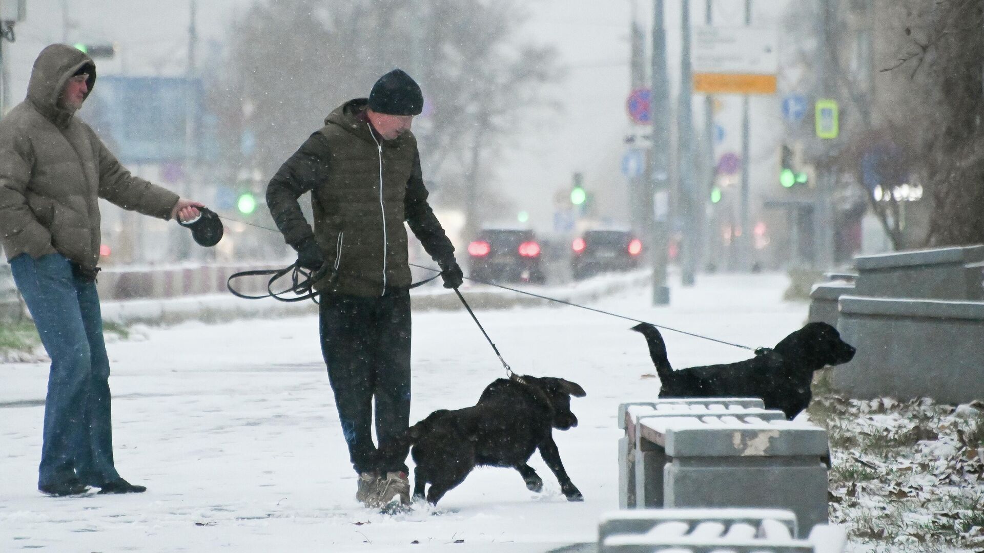 Мужчины выгуливают собак во время снегопада на Ленинском проспекте в Москве - РИА Новости, 1920, 10.12.2022