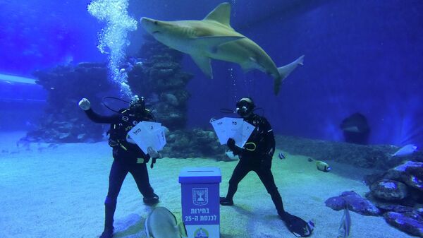 Дайверы установили урну для голосования в бассейне с акулами в национальном подводном парке в Эйлате, Израиль