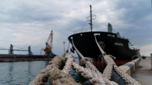 Корабль Navi-Star с украинским зерном у причала Одесского морского порта, Украина