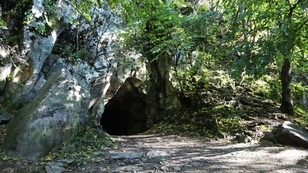 Пещера первобытного человека 