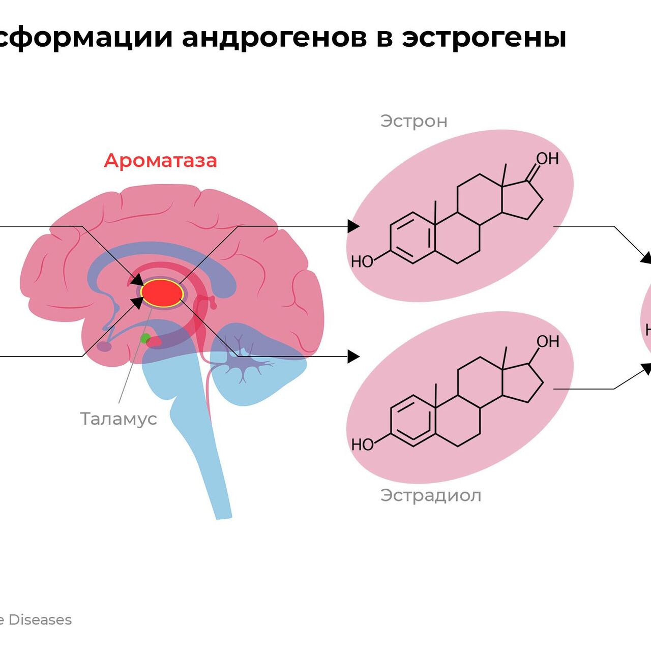 Превращает в мужчину. Ученые раскрыли действие никотина на женский мозг -  РИА Новости, 30.11.2022