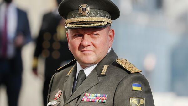 Главнокомандующий Вооруженными Силами Украины Валерий Залужный