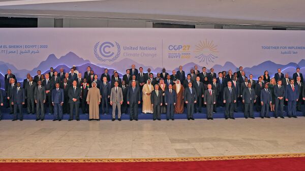 Участники 27-й конференции ООН по изменению климата в Шарм-эш-Шейхе