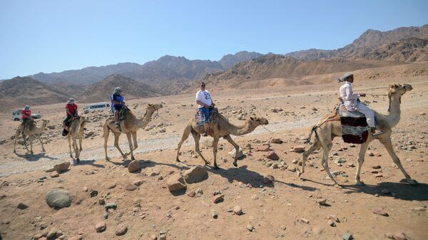 Туристы на прогулке на верблюдах в Дахабе, Египет 