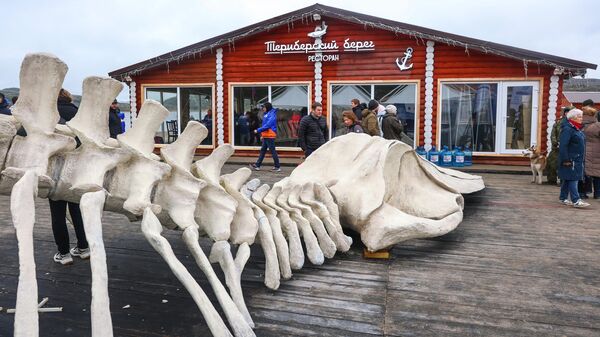 Скелет кита на площадке перед рестораном на VI Арктическом фестивале Териберка в Мурманской области