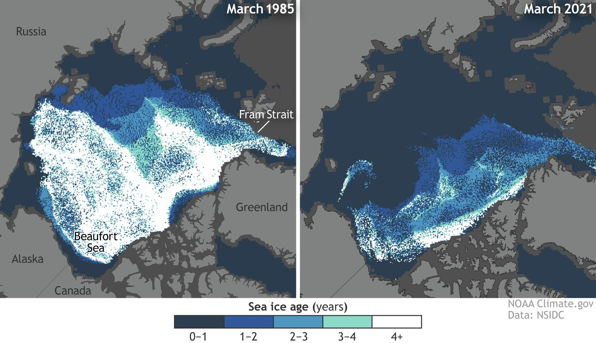 Показаны площадь и возраст арктических льдов в конце зимнего сезона (середина марта) в 1985-м и 2021-м по данным спутниковых наблюдений. Лед старше 4-х лет остался только в виде небольшой полоски у побережья Канады - РИА Новости, 1920, 10.11.2022