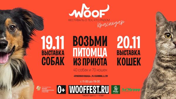 Фестиваль-выставка животных из приютов WOOF