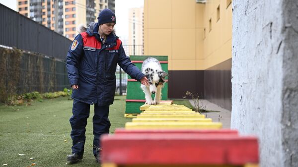 Сотрудница кинологической группы аварийно-спасательного отряда №6 Пожарно-спасательного центра Москвы Ирина Осипова со служебной собакой во время тренировки