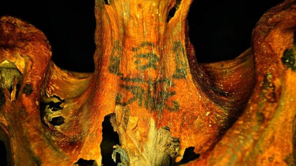 Мумии с татуировками на теле нашли в Египте 