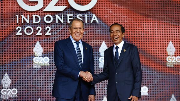 Министр иностранных дел России Сергей Лавров и президент Индонезии Джоко Видодо во время саммита G20 на Бали