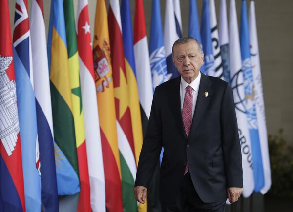 Президент Турции Реджеп Тайип Эрдоган во время саммита G20 на Бали