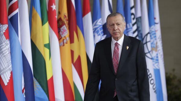 Президент Турции Реджеп Тайип Эрдоган во время саммита G20 на Бали