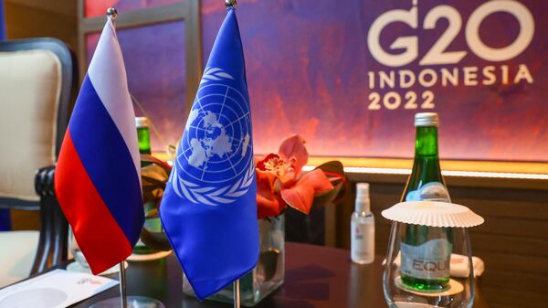 Флаги России и ООН во время встречи министра иностранных дел России Сергея Лаврова с генеральным секретарём ООН Антониу Гутеррешем на полях саммита G20 на Бали
