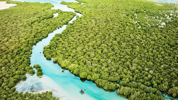 Остров Аль-Хор с мангровыми зарослями (Пурпурный остров)
