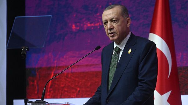 Президент Турции Реджеп Тайип Эрдоган выступает на пресс-конференции во время саммита G20 на Бали
