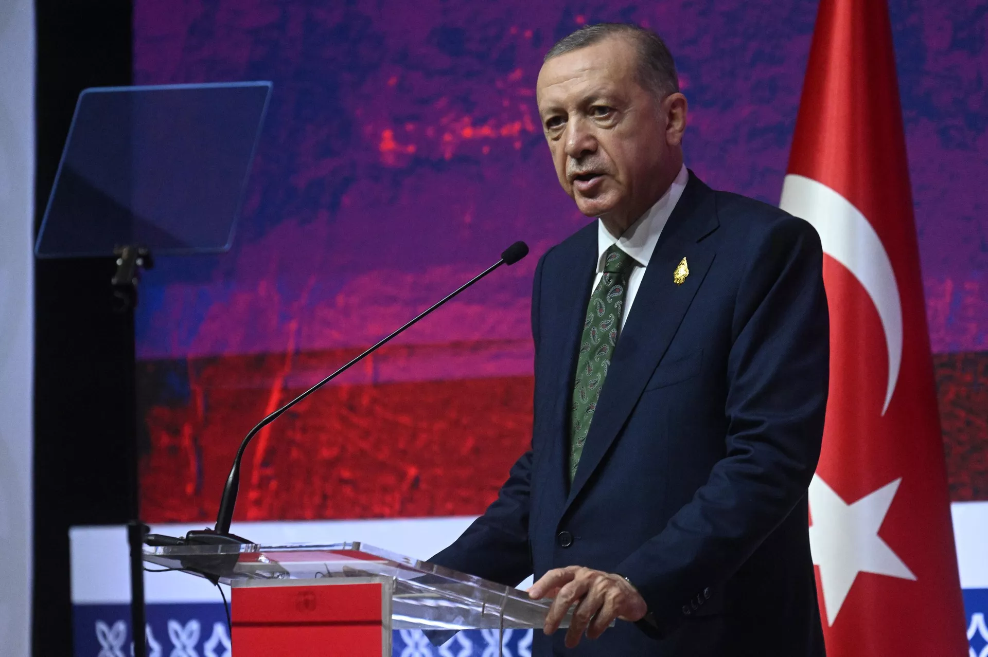 Президент Турции Реджеп Тайип Эрдоган выступает на пресс-конференции во время саммита G20 на Бали - РИА Новости, 1920, 13.02.2023