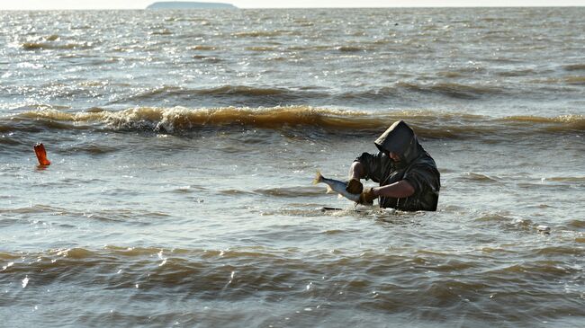 Рыбак поймал рыбу у побережья Беренгова моря