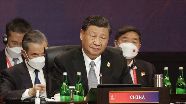 Председатель КНР Си Цзиньпин на саммите G20 в Индонезии
