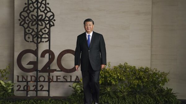 Председатель КНР Си Цзиньпин на саммите G20 в Индонезии
