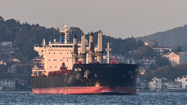 Грузовое судно Asl Tia, перевозящее украинское зерно, в проливе Босфор в Стамбуле