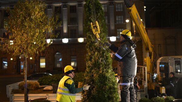 Сотрудники жилищно-коммунальной службы высаживают деревья зимних пород на Тверской улице в Москве
