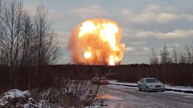 Пожар во Всеволожском районе Ленинградской области