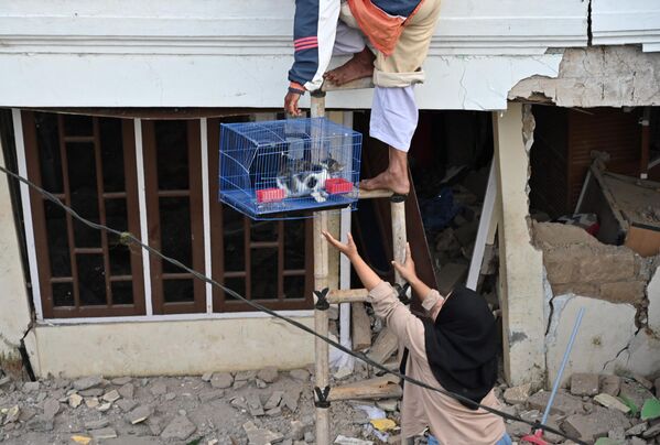 Люди спасают кошку из разрушенного дома после землетрясения в провинции Западная Ява, Индонезия