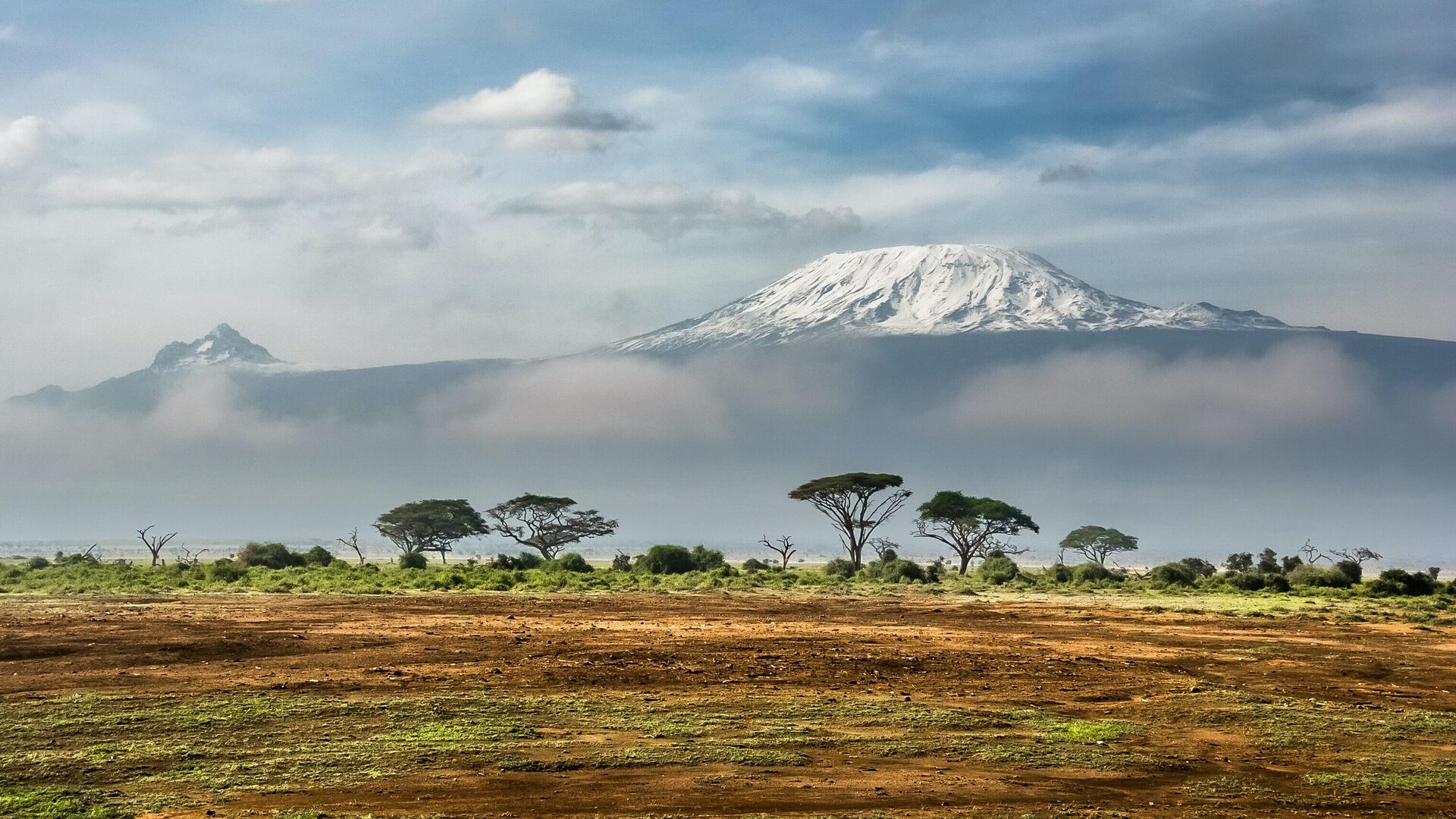 Вид на Килиманджаро из национального парка Амбосели, Кения - РИА Новости, 1920, 24.06.2024