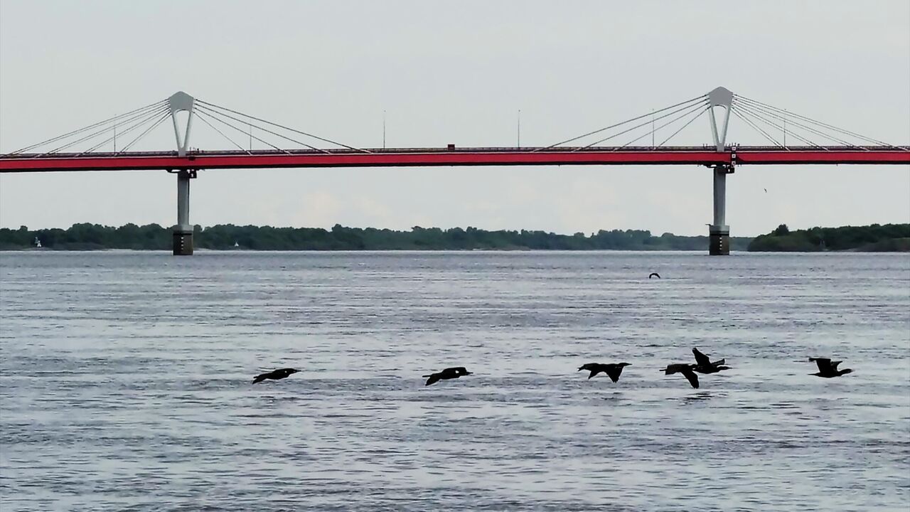 Яблоновский мост через реку Кубань открыли - РИА Новости, 17.06.2023